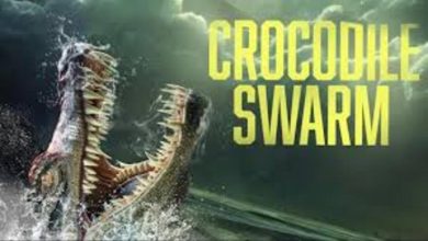 Crocodile Swarm 2023