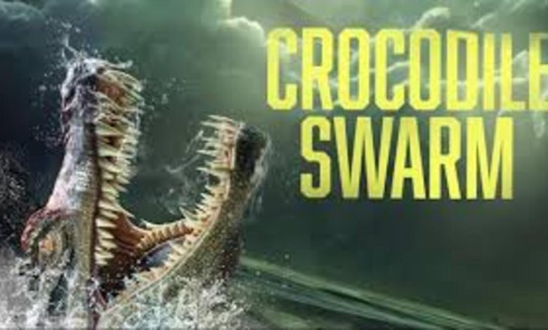 Crocodile Swarm 2023