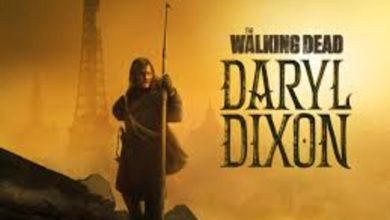 The Walking Dead Daryl Dixon