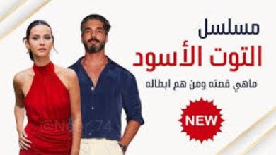 مسلسل التوت الاسود