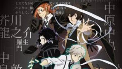 Bungou Stray Dogs