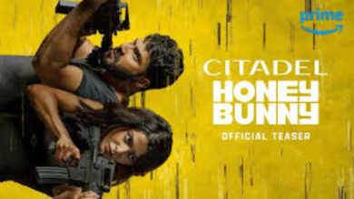 مسلسل Citadel Honey Bunny