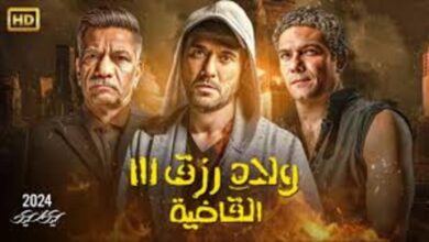 مشاهدة فيلم ولاد رزق 3 القاضية